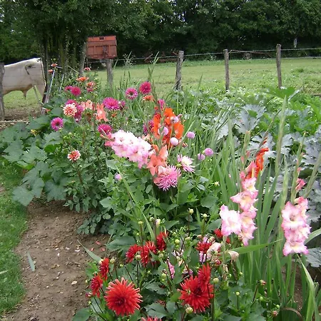 Bed & Breakfast La Ferme De La Velle *