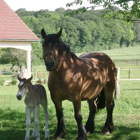 La Ferme De La Velle Couette-café La Neuvelle-lès-Scey